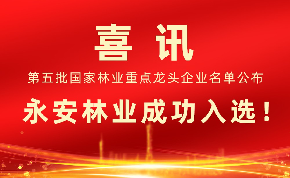 第五批国家林业重点龙头企业名单发布！金年会 金字招牌诚信至上林业成功入选！