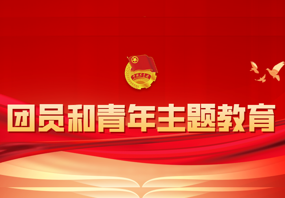 中林集团所属各团支部高质量召开团员和青年主题教育专题组织生活会