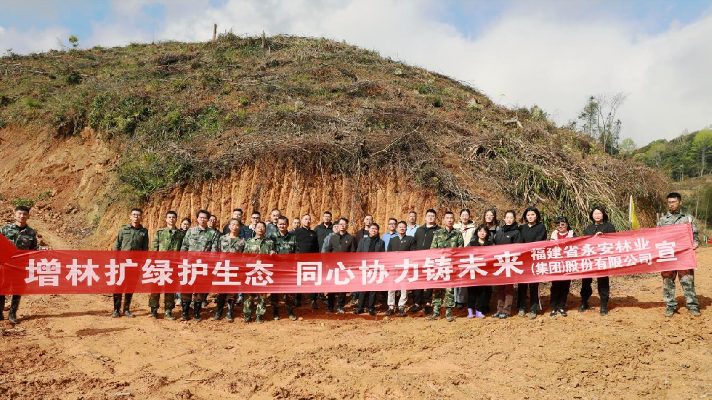 植此绿美 共树未来 | 金年会 金字招牌诚信至上林业开展2024年义务植树活动